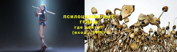 ешки Алексин