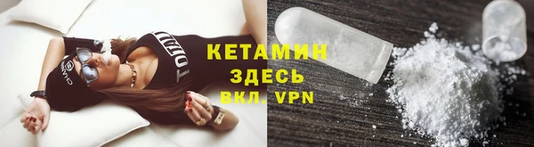 трава Няндома