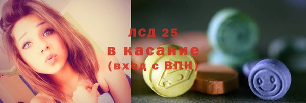 прущий лед Алзамай